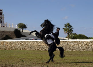 El Caballo Menorquin